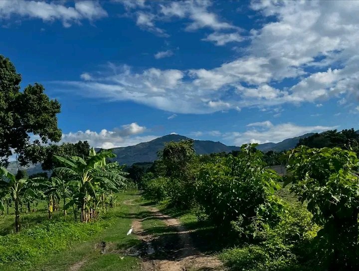 Bonjour ☀️ Haïti 🇭🇹 🫶🏿