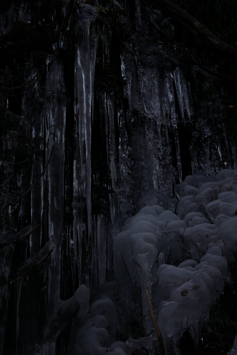 tsano522's tweet photo. Saitama, Japan 
©︎ 2026 TAKAAKI SANO Photography 
#icicle https://t.co/2SBy2WX6on