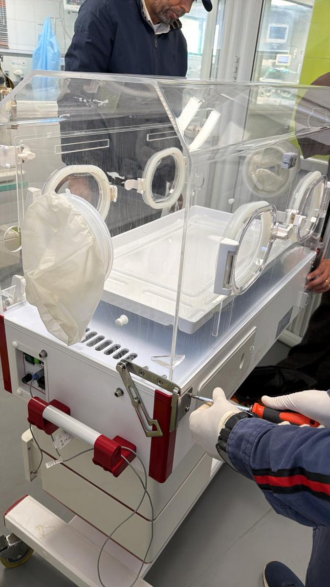 ODAY || 🇵🇸 tweet media