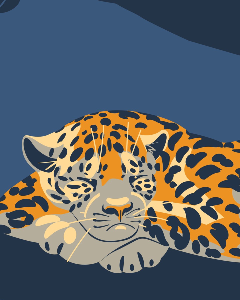 ParkolDesign's tweet photo. Dangerous crossing
#jaguar #howlermonkey #animals https://t.co/88jxcXK6hV