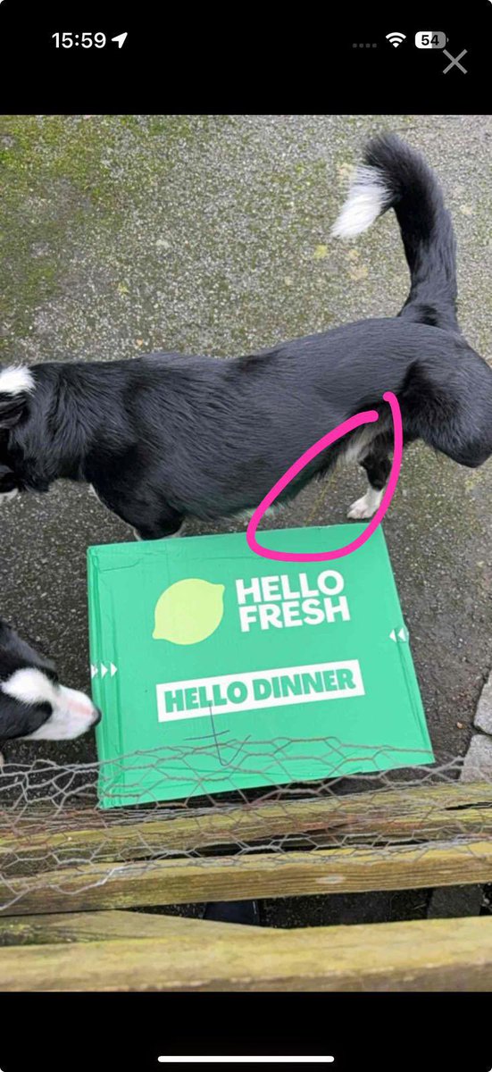 Fred Watson tweet media