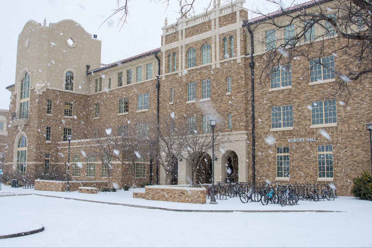 Texas Tech Housing tweet media