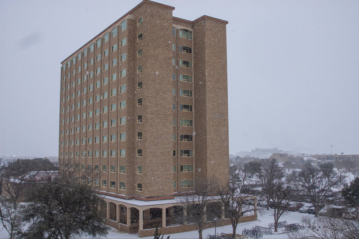 Texas Tech Housing tweet media