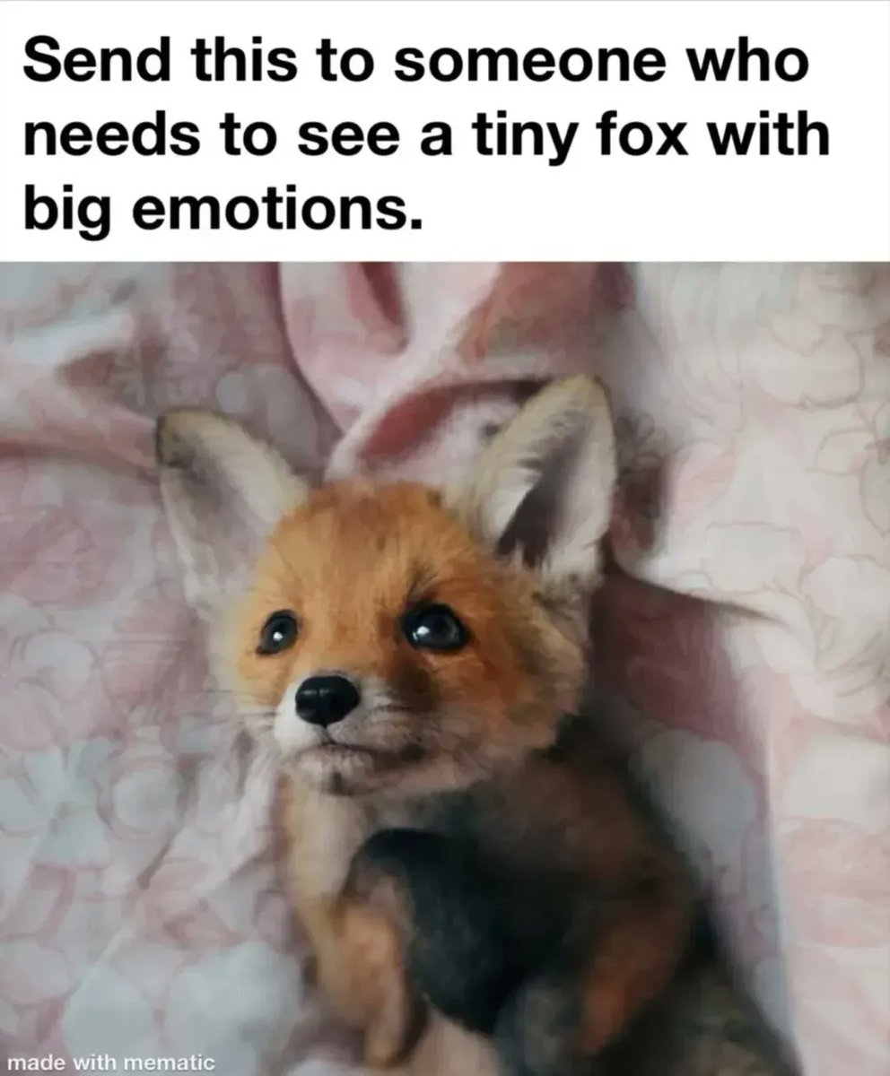 Send this to someone who needs a soft moment today