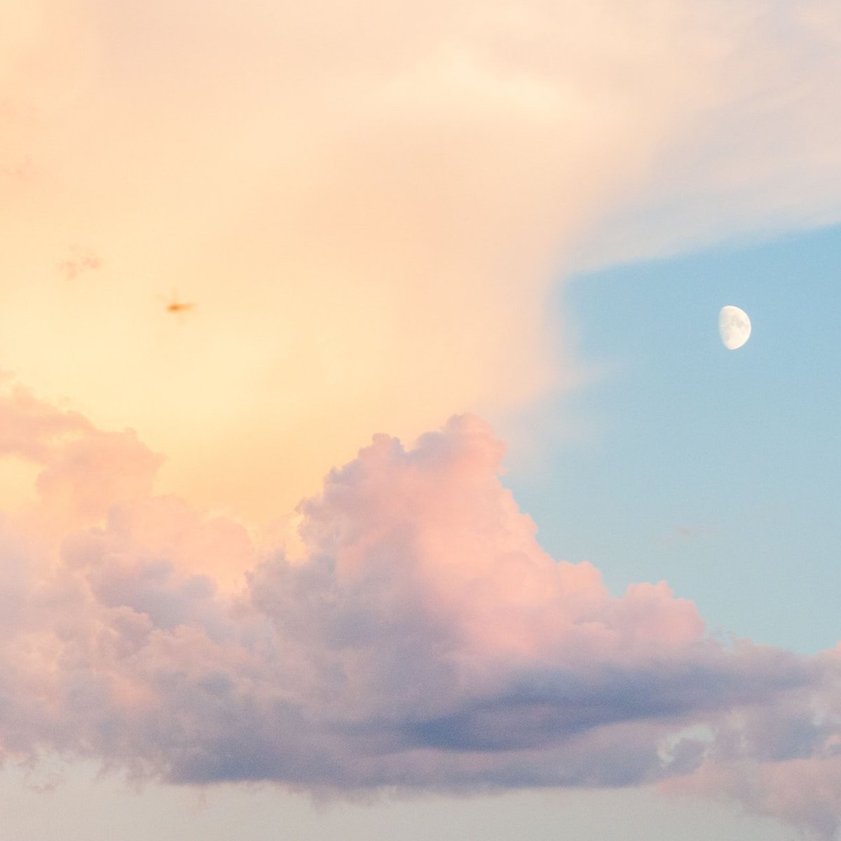 유 연한 tweet media