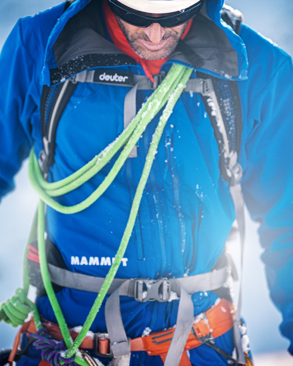 polartec tweet media