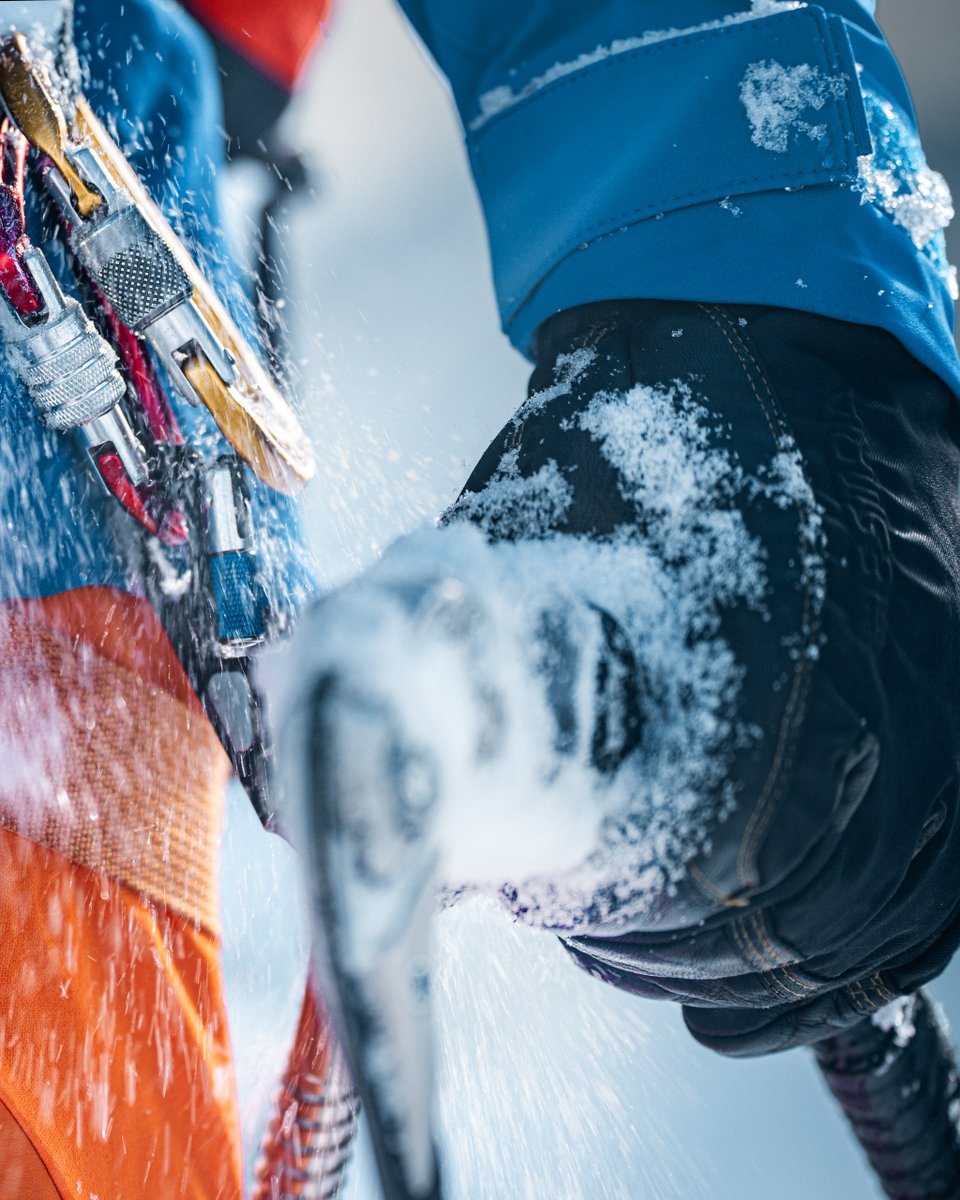 polartec tweet media