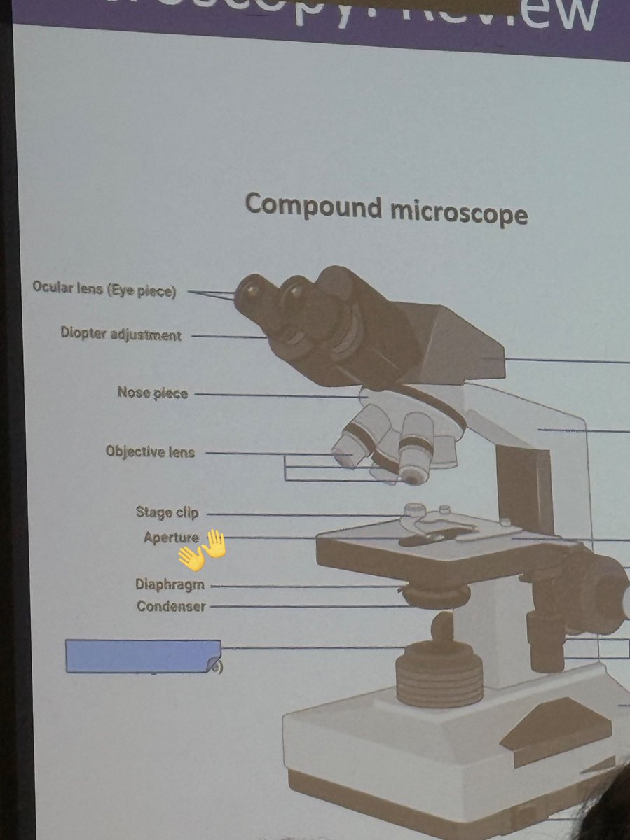 I wish I was joking I’m currently in a Harry queue in class and my professor starts explaining parts of a microscope and says aperture. IVE NEVER TURNED MY HEAD SO FAST.