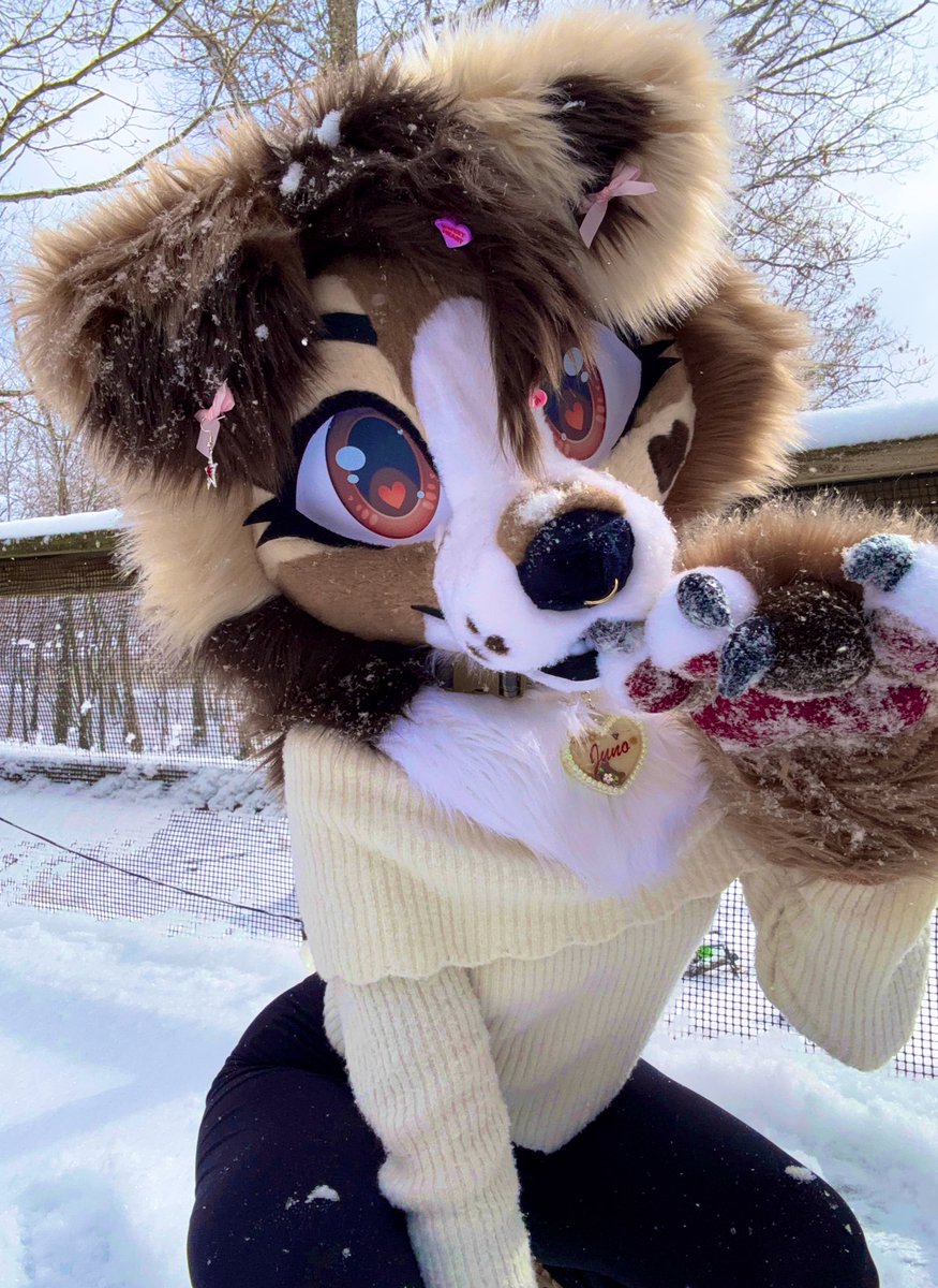puppy gf wants to play in the snow with you, do you accept? 🤲🏼❄️💘