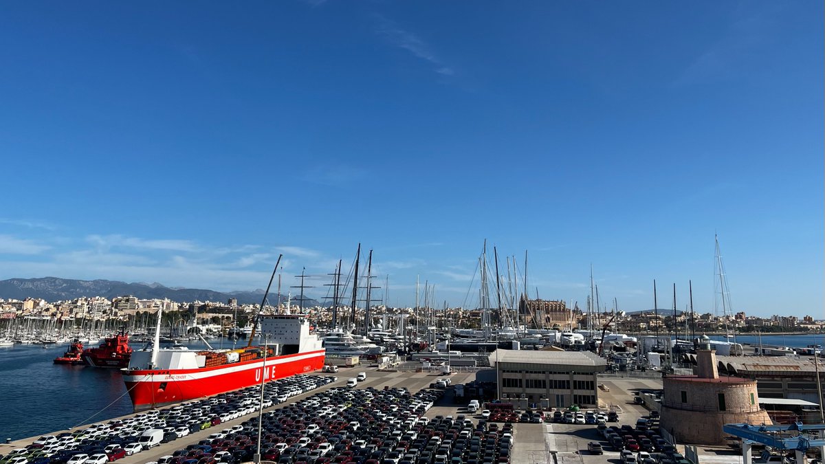 Francis Martin tweet media