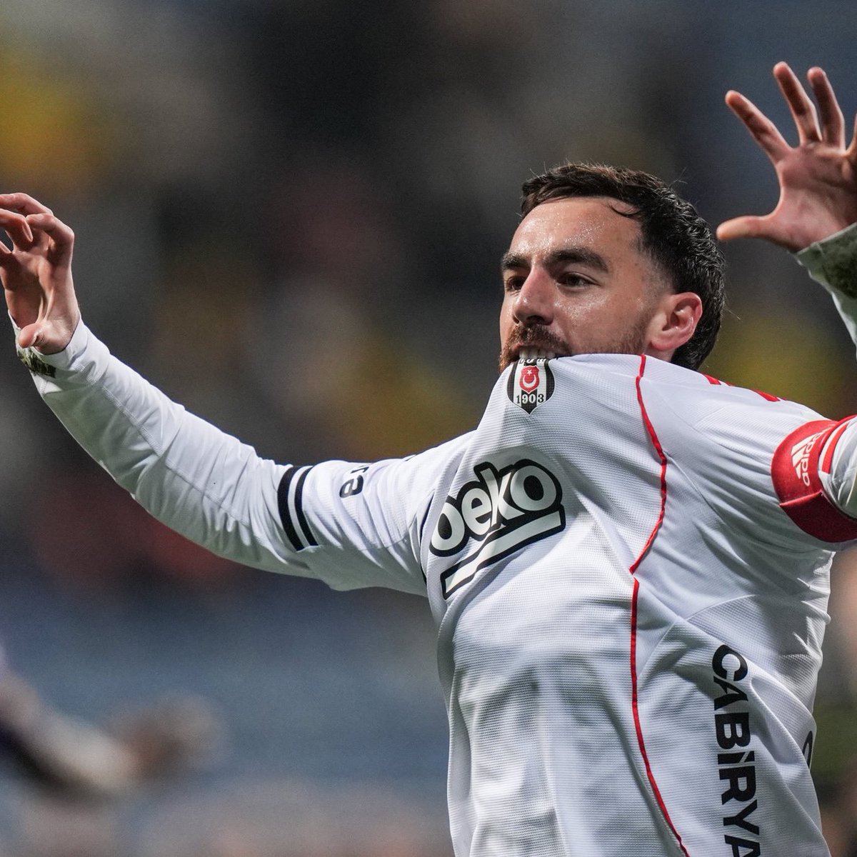 Pusholder tweet media