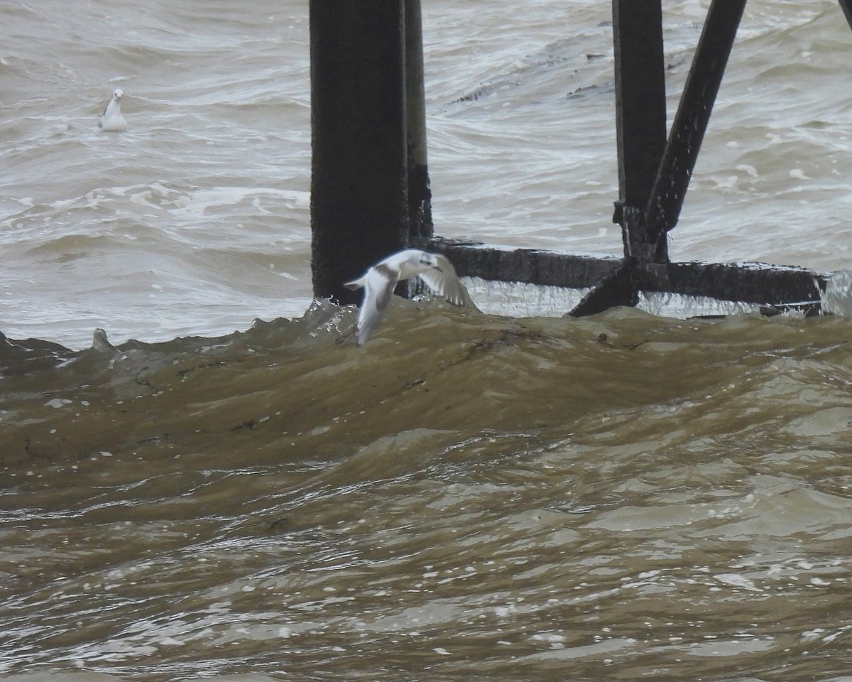 Dave Boult tweet media