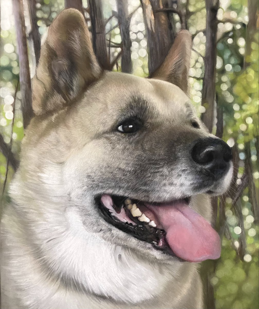 Paulmillerart's tweet image. The beautiful "Lilly" pastel pencil and soft pastel on pastelmat. Hope everyone's well 🙂. #art #petportraitartist #petportrait #pastelart #drawing