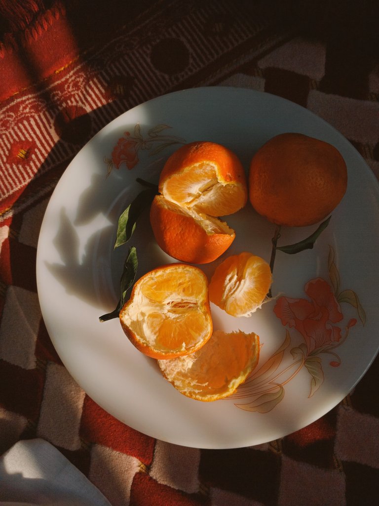 theskyiispink's tweet image. google search : how to sop experiencing anticipatory grief when this world has taken so much from me already. Anyways, these oranges were yummy