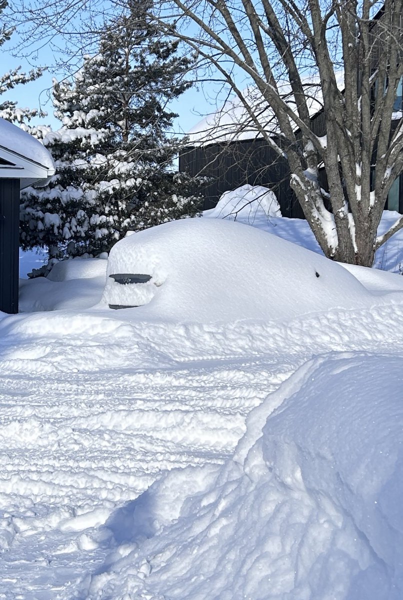 bean🌱 tweet media