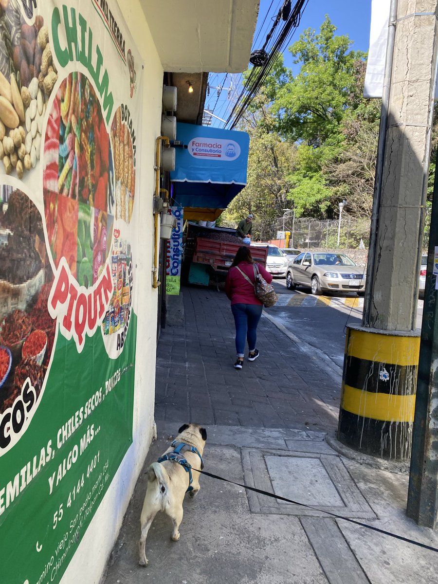 eri_paredes's tweet photo. @UCS_GCDMX @TlalpanAl @TlalpanVecinos seguimos con problemas de los coches en las banquetas… es en camino viejo a san Pedro mártir 230 y 217, en la colonia Chimalcoyotl. https://t.co/sUhlk3RBgQ