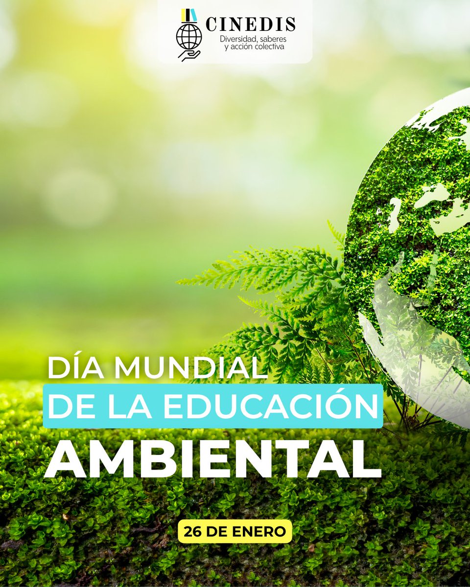 🌱🌍 En el Día Mundial de la Educación Ambiental, recordamos que educar es sembrar conciencia y responsabilidad sobre el cuidado de nuestro entorno.

Desde CINEDIS, impulsamos una educación integral que conecte los derechos humanos con el respeto a la naturaleza.