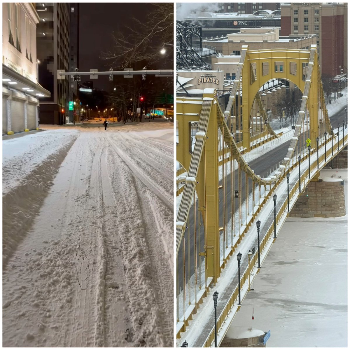 Maria Angelica Caruso tweet media