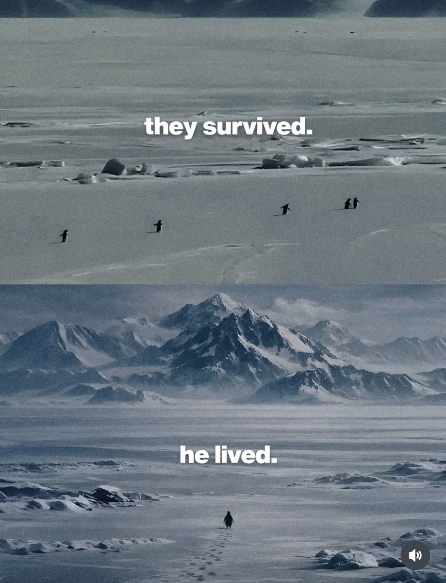 This whole solitary Pinguin trend reminds me deeply of what we’ve been doing here with NFTs. Alone but together, taking a risk and pursuing a vision very few understand.