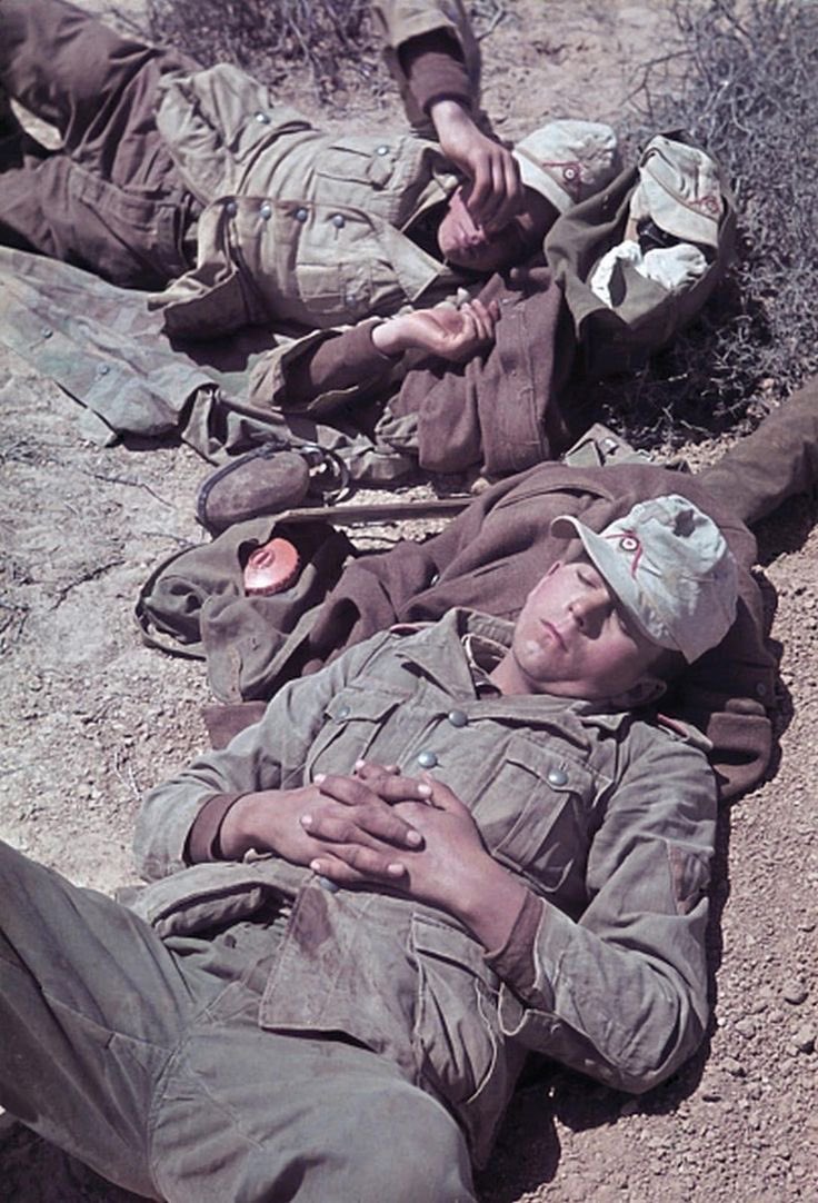 DulceBellum1944's tweet image. #AfrikaKorps