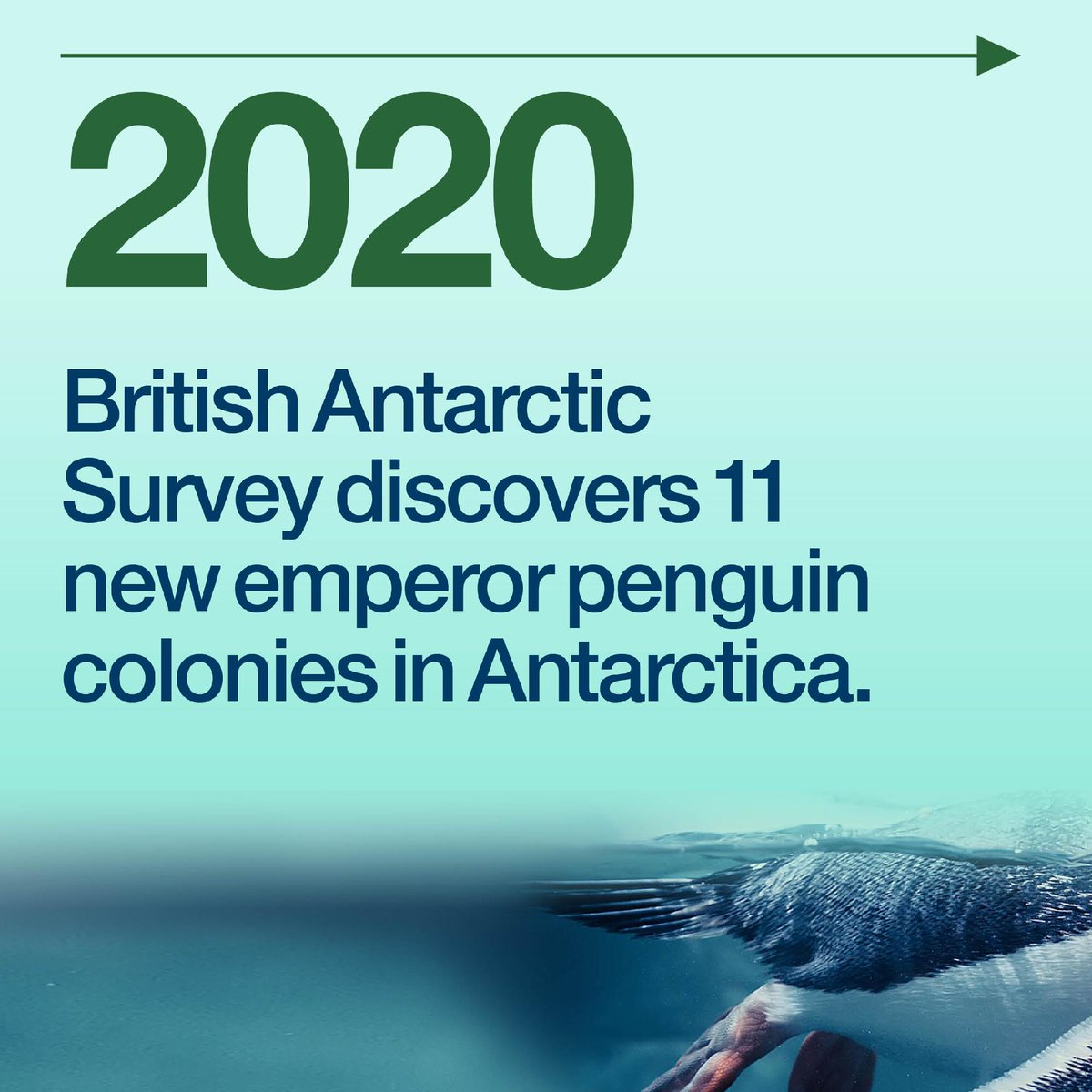 Research in Schools tweet media