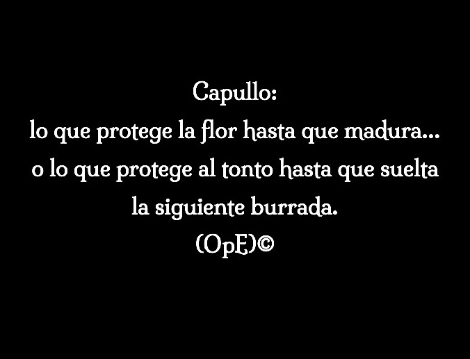 p_oscar44's tweet photo. #Capullo
#ProtegeAlTonto https://t.co/GaJwEe4JHg