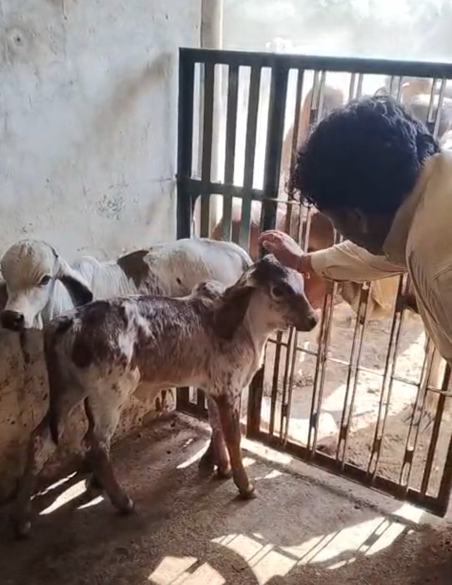 Dr. Shah tweet media