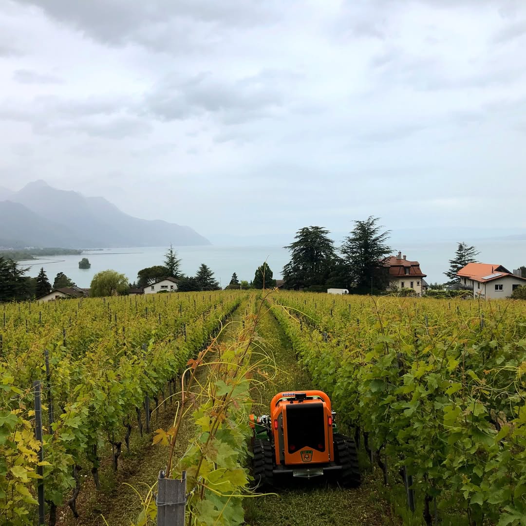 GreenClimberNA's tweet photo. Preserve the beauty of your landscape with efficiency, power, and safety #GreenClimber #SlopeMower #Landscaper #EquipmentOperator #GroundsCrew https://t.co/bmG8rjWT8k