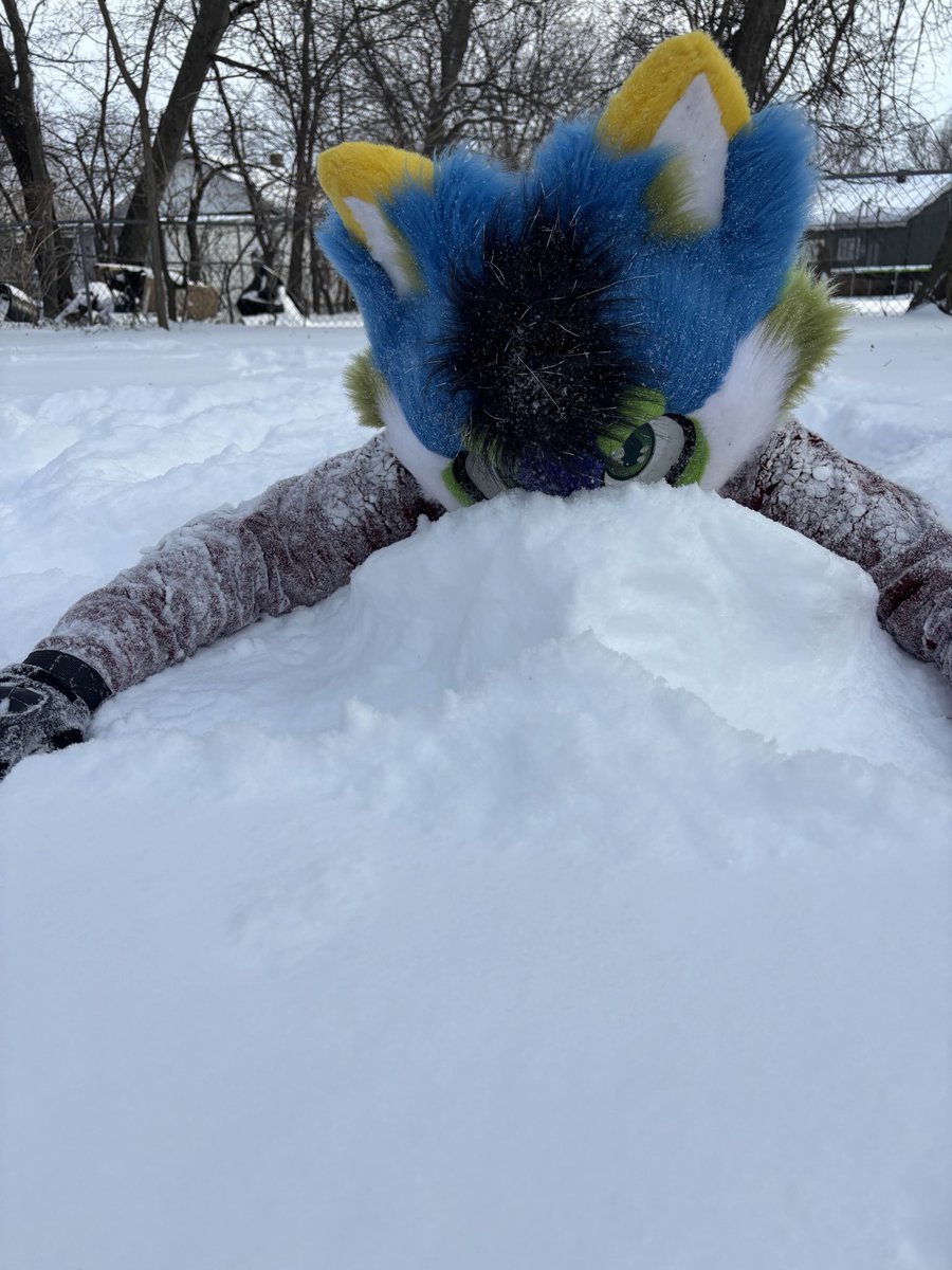 I wish it snowed more often where I live. I love this type of weather :^ 

#furry