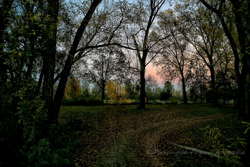 @ferrarisergio4 tweet media