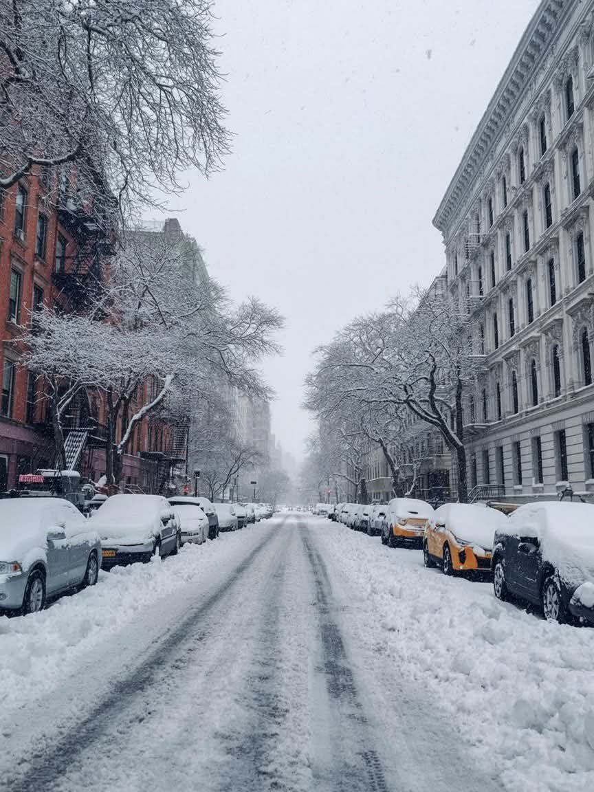 earthcurated's tweet image. New York ❄️