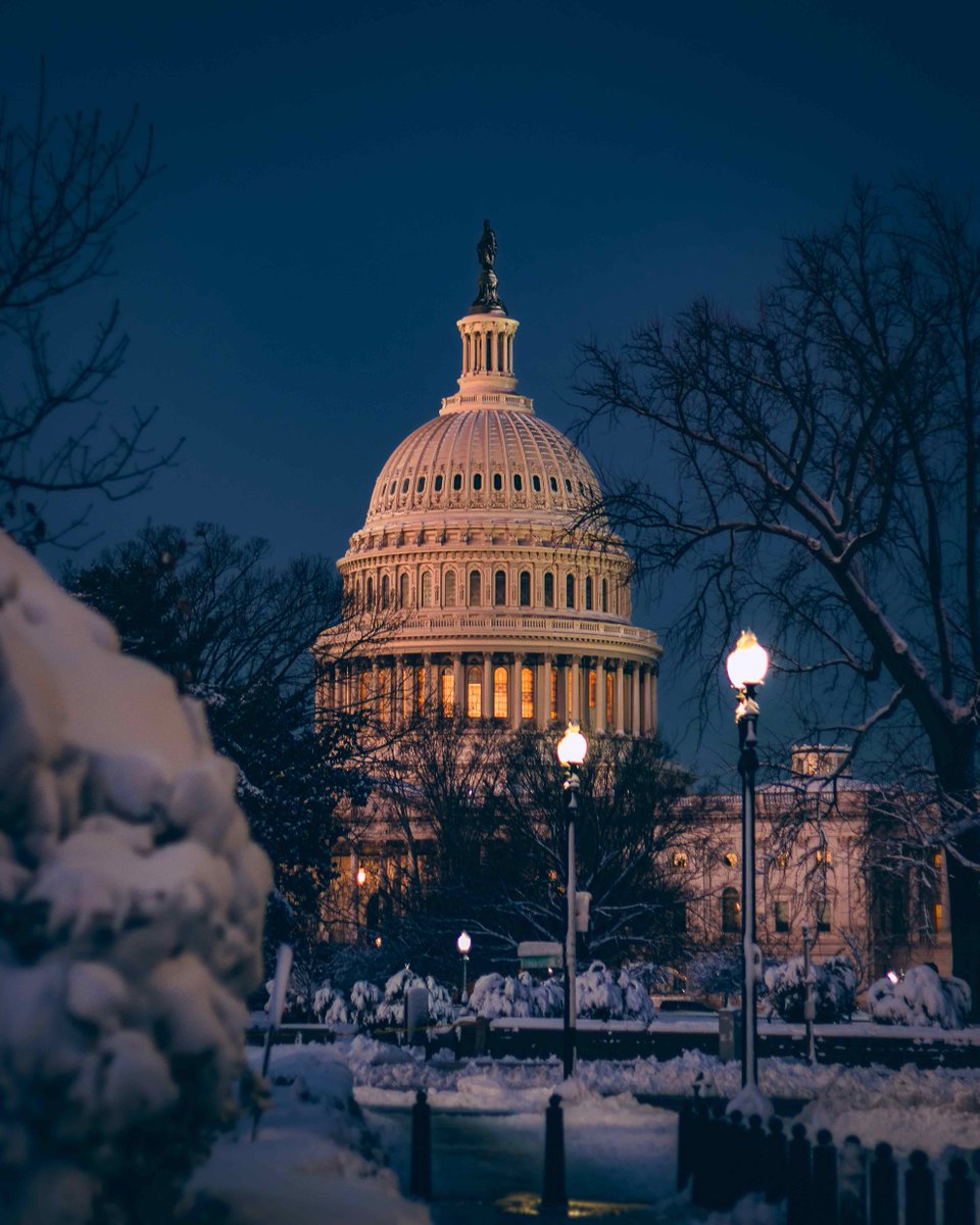 Constitution and Catholic Intellectual Tradition tweet media