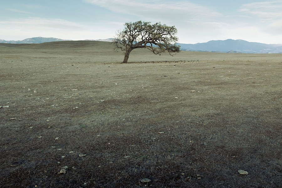 MIT Center for Sustainability Science and Strategy tweet media