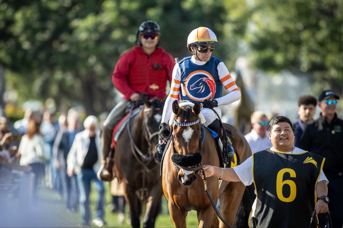 Little Red Feather Racing tweet media