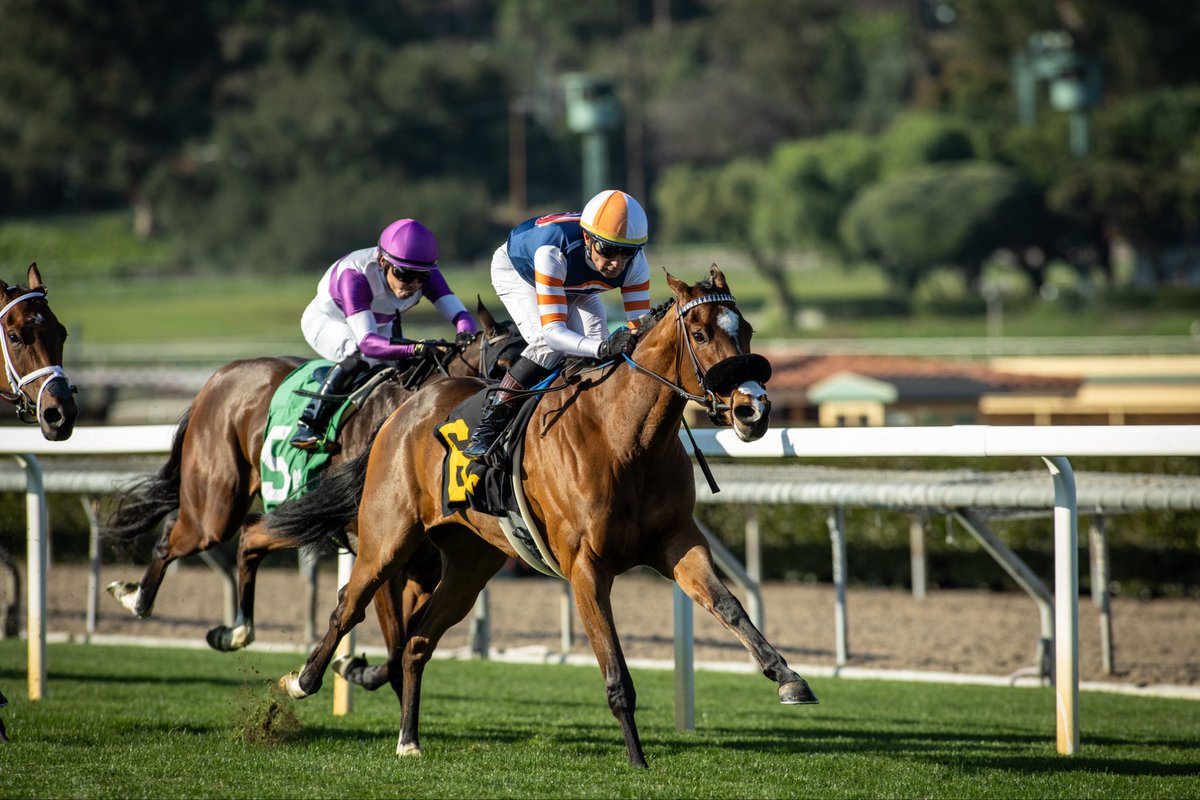 Little Red Feather Racing tweet media