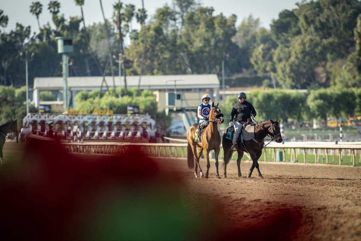 Little Red Feather Racing tweet media