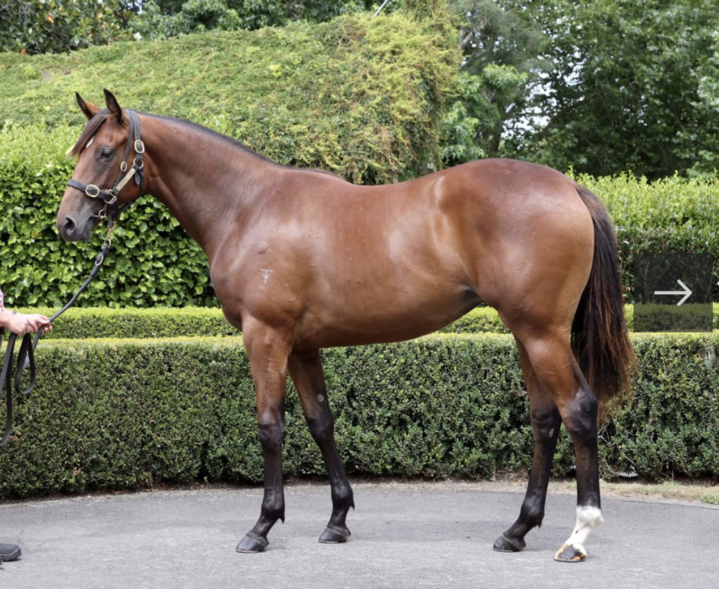 Dave Mee tweet media