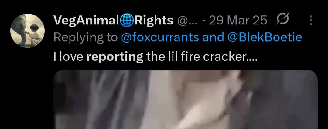 Mornay Roux tweet media