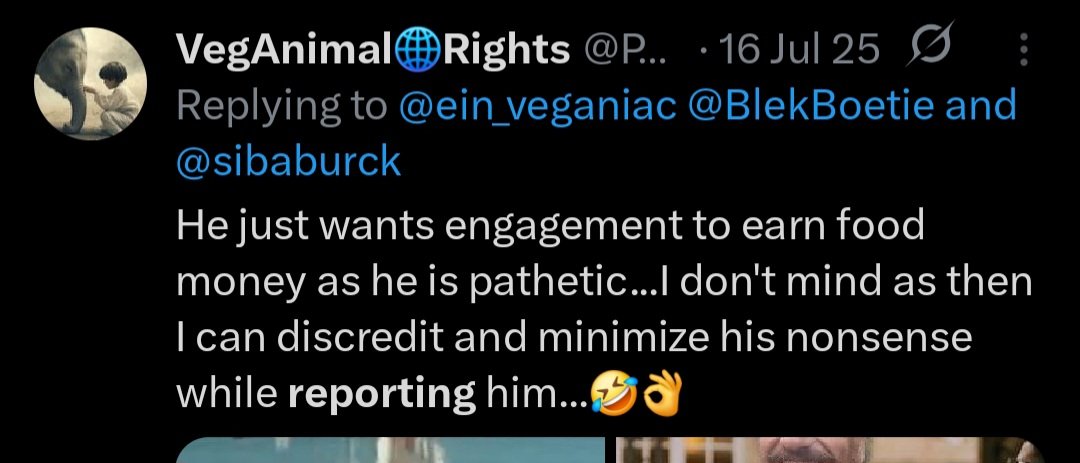 Mornay Roux tweet media