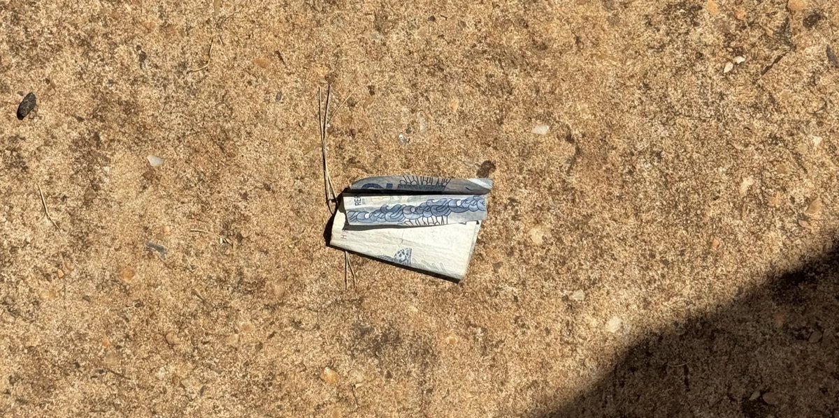 Achar dinheiro na rua hoje em dia é um evento exótico (mas podia ser de 100 ein)