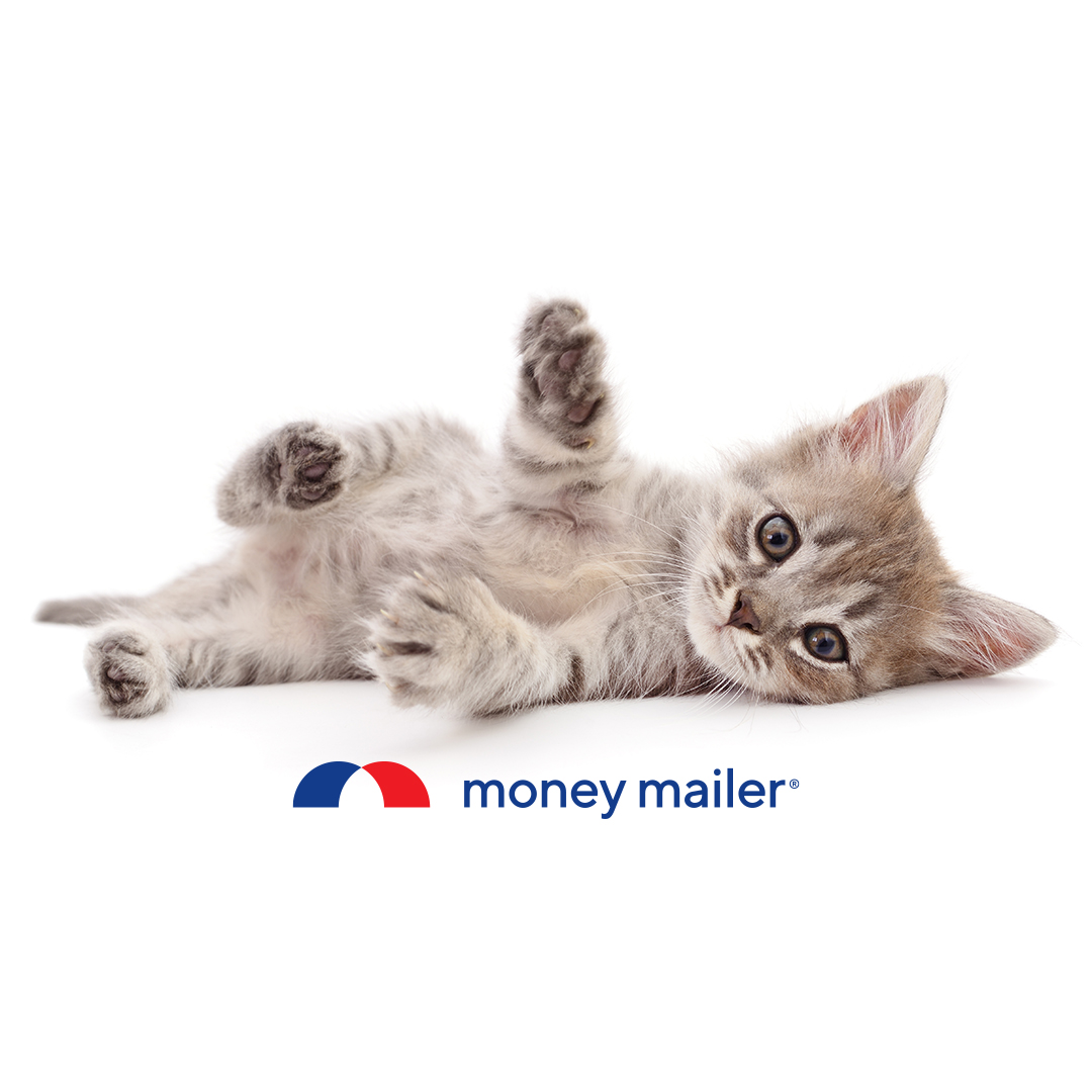 We’re not kitten around, we have great savings on pet products, people products, and anything in between at MoneyMailer.com. 
#MoneyMailer #coupons #deals