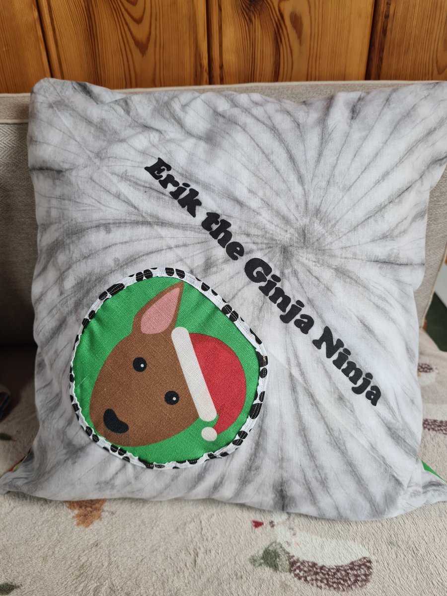 Luna The Bull Terriers adventures tweet media