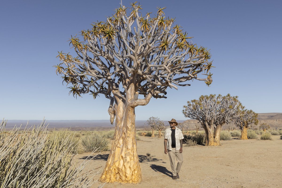 Tebogo Pin-Pin tweet media