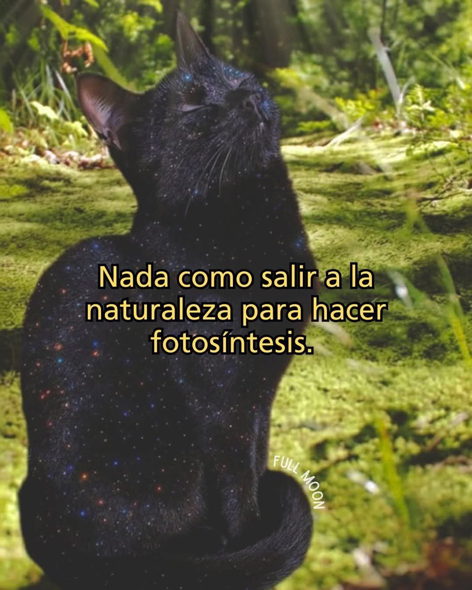 DiloConGatitoz's tweet photo. https://t.co/ojXTBFVCWM