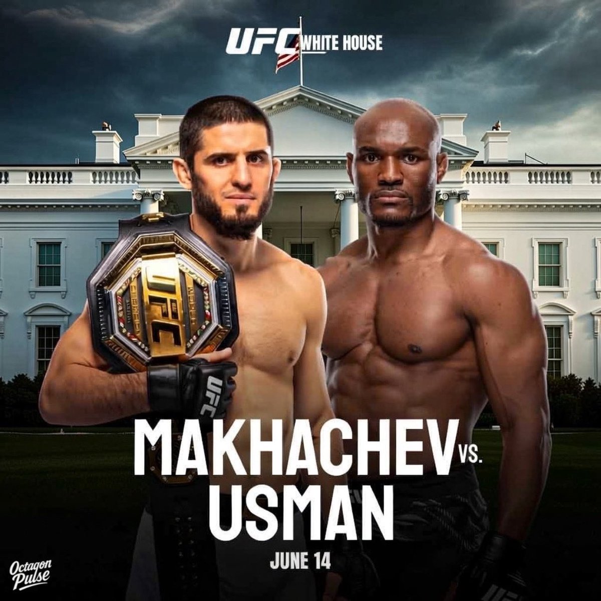 Octagon Pulse | UFC MEDIA🚨 tweet media