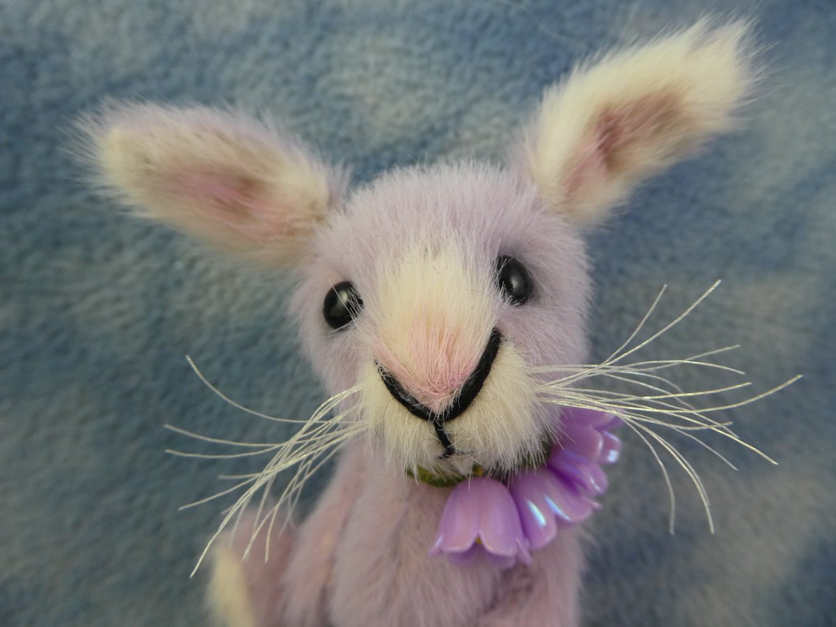 TheWordOfErynn's tweet photo. Lissy &amp; Lila! Finished and now ready to find new homes https://t.co/aFgBqoRZ93 #BramberBears #ArtistBears #OOAK 💜 https://t.co/ALGT0Cu4Ue