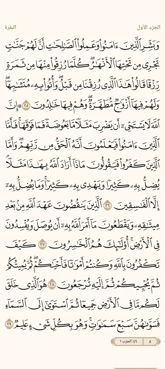 ْمحمد علام tweet media