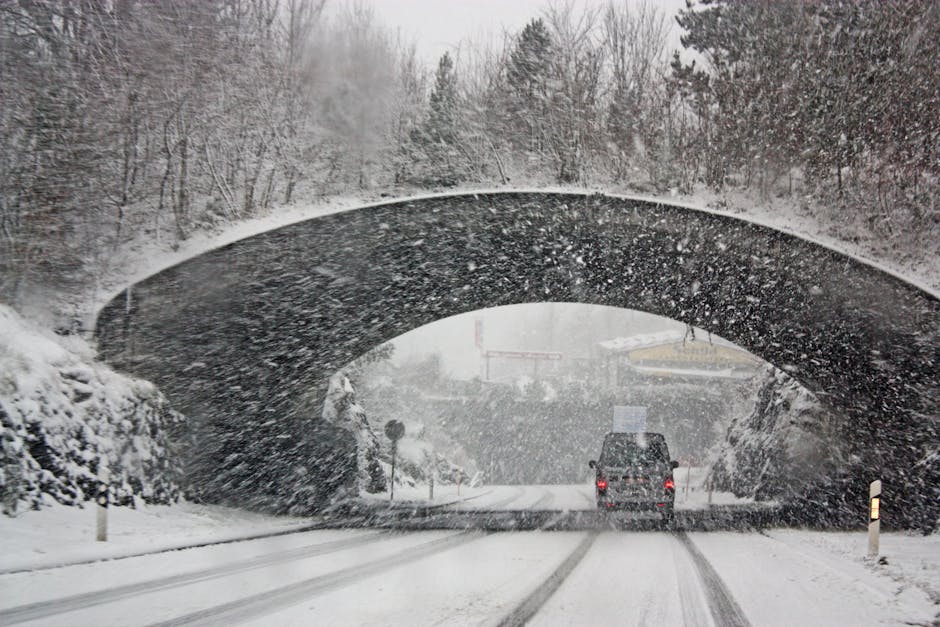 VivianLemAgent's tweet photo. We hope everyone is enjoying the snow day. We are working remotely.  Call 914 725 5000 email or text. Be safe out there! https://t.co/BD2XWapto5
