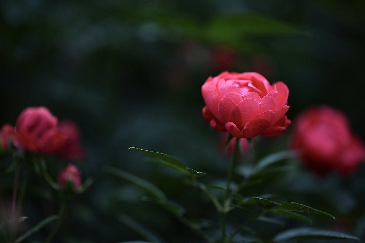 kazumi (@zf1118kazumi) on X