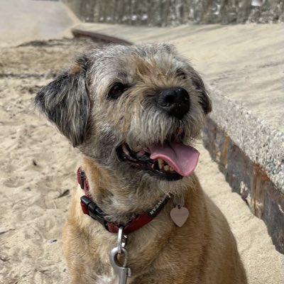 Izzy Border 🌈 tweet media